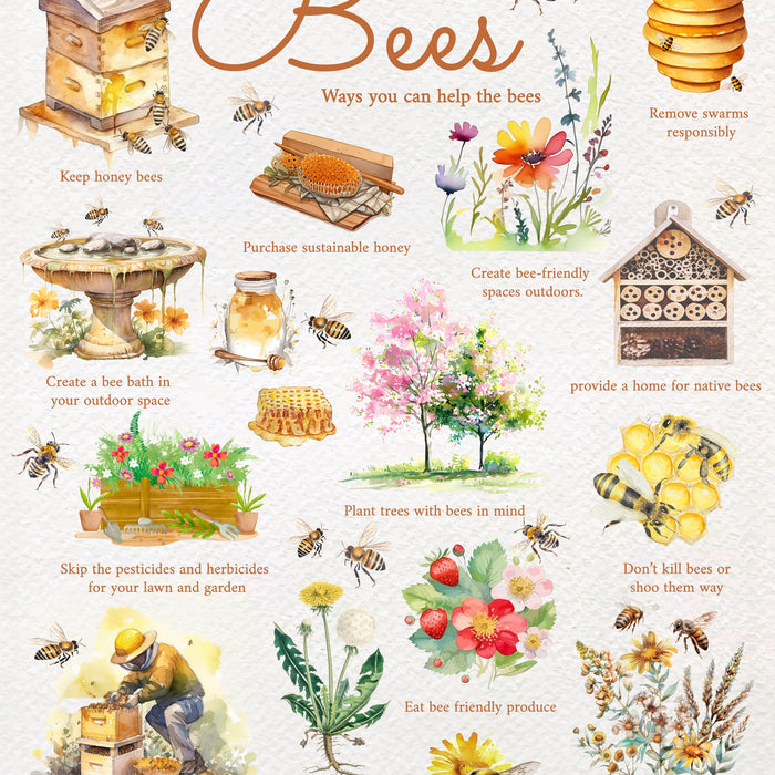 11 Ways to Celebrate World Bee Day and Support Bee Populations