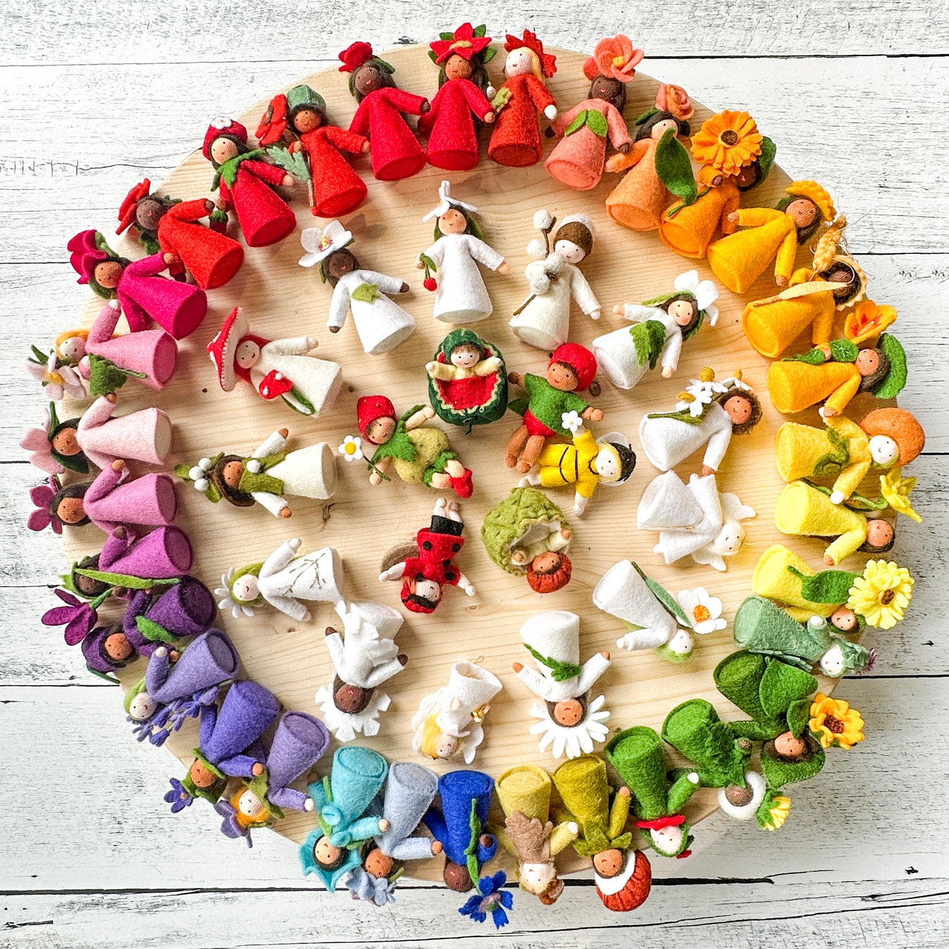 ambrosius flower faires laid out in a circle in rainbow color
