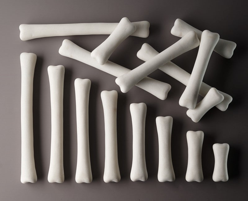 16 Dinosaur Bones Made From Stones- Large Size - For Little Paleontologist