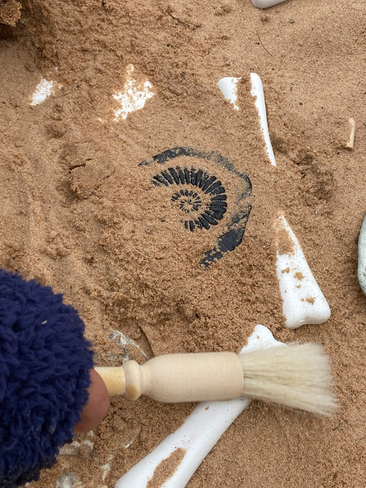 16 Dinosaur Bones Made From Stones- Large Size - For Little Paleontologist