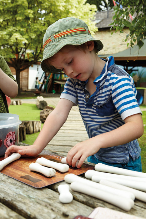 16 Dinosaur Bones Made From Stones- Large Size - For Little Paleontologist