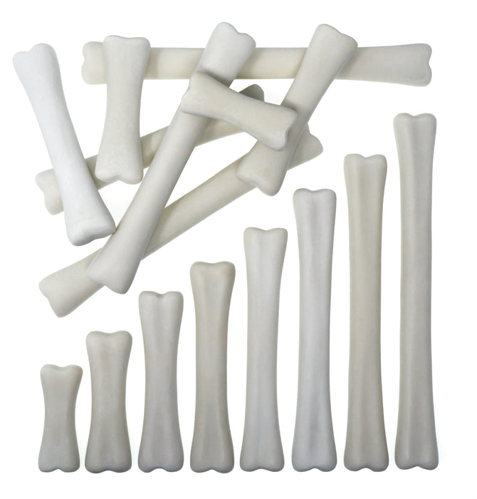 16 Dinosaur Bones Made From Stones- Large Size - For Little Paleontologist