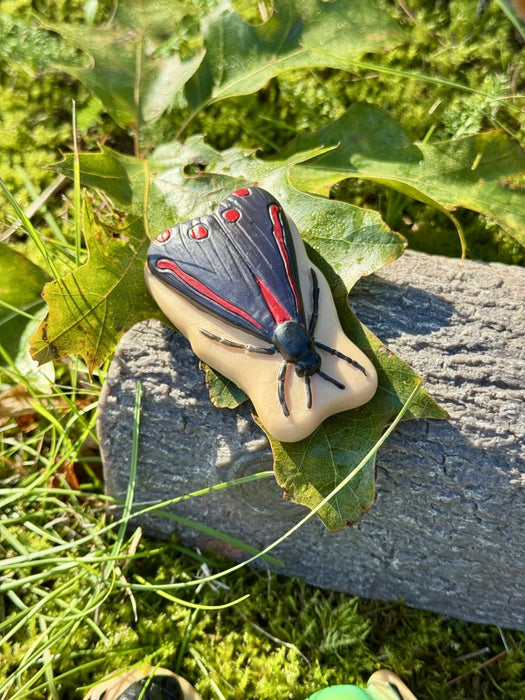 Bug Sensory Play Stones - Insect Sorting Toy –  Nature Learning Sensory Play Set