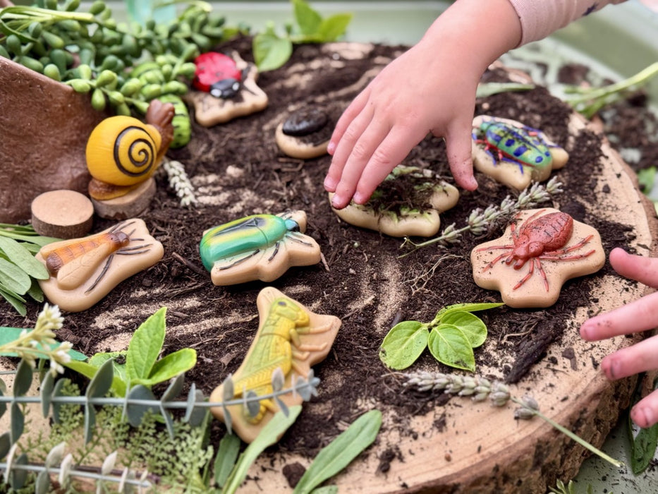 Bug Sensory Play Stones - Insect Sorting Toy –  Nature Learning Sensory Play Set