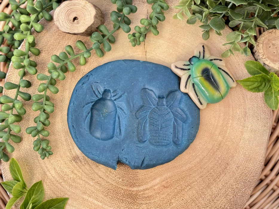 Bug Sensory Play Stones - Insect Sorting Toy –  Nature Learning Sensory Play Set