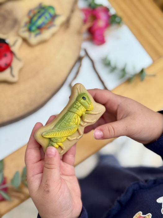 Bug Sensory Play Stones - Insect Sorting Toy –  Nature Learning Sensory Play Set