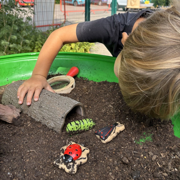Bug Sensory Play Stones - Insect Sorting Toy –  Nature Learning Sensory Play Set