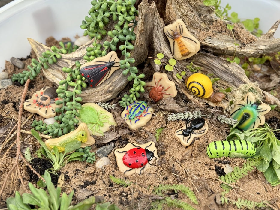 Bug Sensory Play Stones - Insect Sorting Toy –  Nature Learning Sensory Play Set