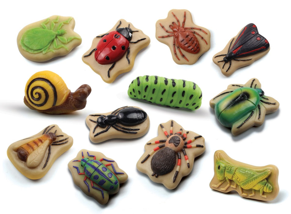 Bug Sensory Play Stones - Insect Sorting Toy –  Nature Learning Sensory Play Set