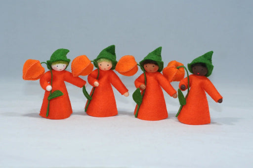 Chinese_Lantern_Fairy_12_1024x Chinese_Lantern_Fairy_12_1024x