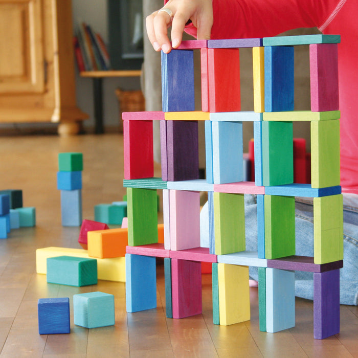 Color Rally Building Blocks Wooden Dominoes and Stepped Blocks