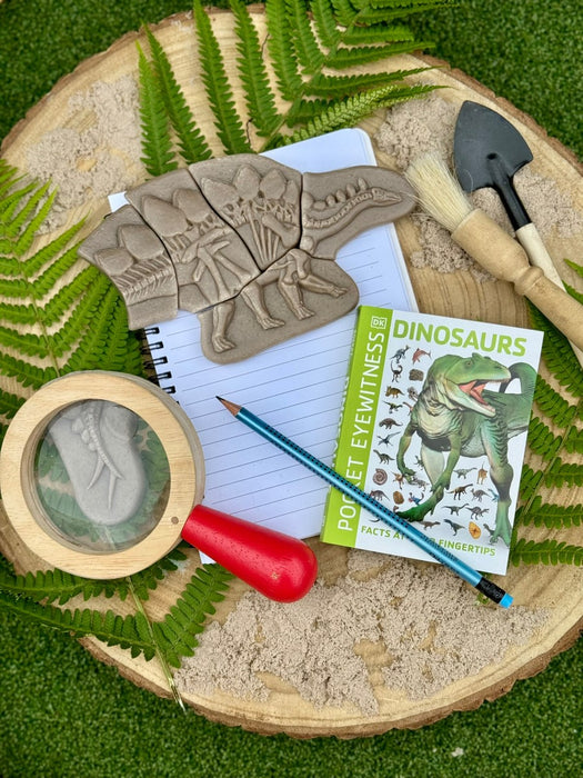 Dino Dig & Build Stone Puzzle Set - Pliosaur & Stegosaurus