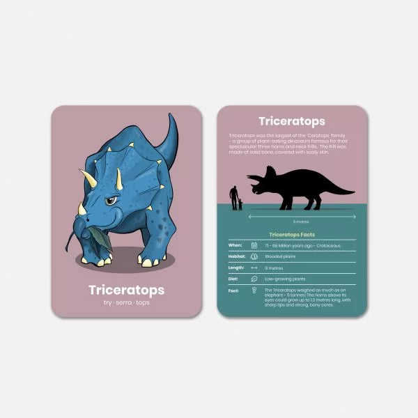 Dinosaur Activity Flashcards