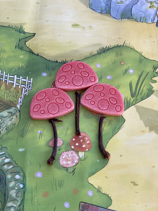 Three toadstool stones with tree twigs to look like Mushrooms
