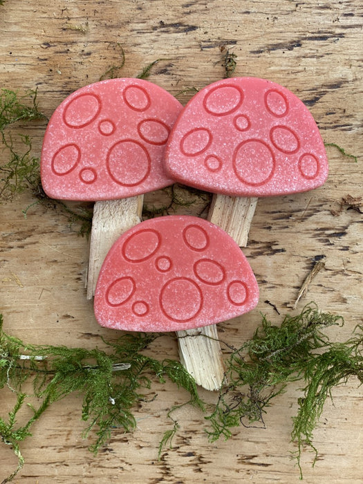 Toadstool mushrooms with sticks