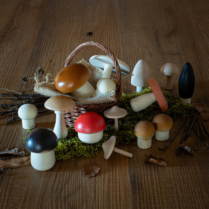 Forest Mushrooms In a Round Box - 15 Wooden Mushrooms - Erzi