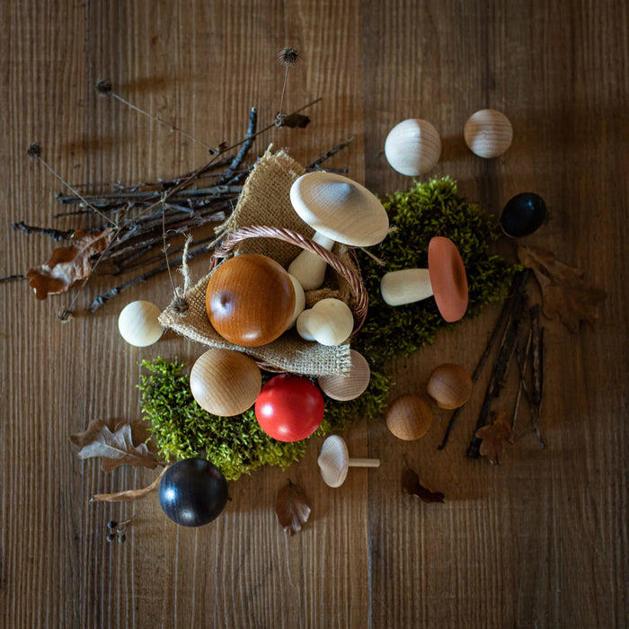 Forest Mushrooms In a Round Box - 15 Wooden Mushrooms - Erzi