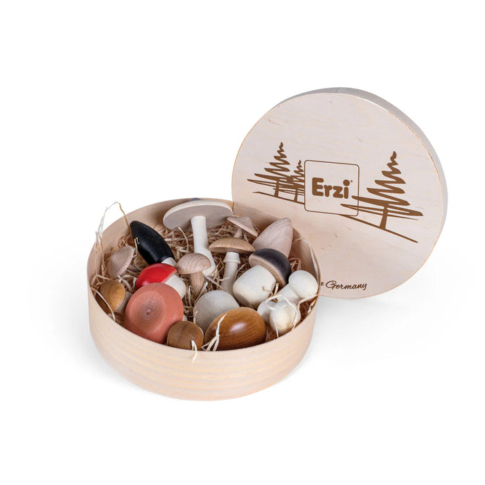 Forest Mushrooms In a Round Box - 15 Wooden Mushrooms - Erzi