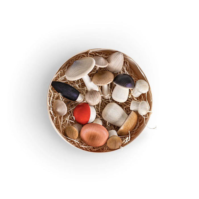 Forest Mushrooms In a Round Box - 15 Wooden Mushrooms - Erzi
