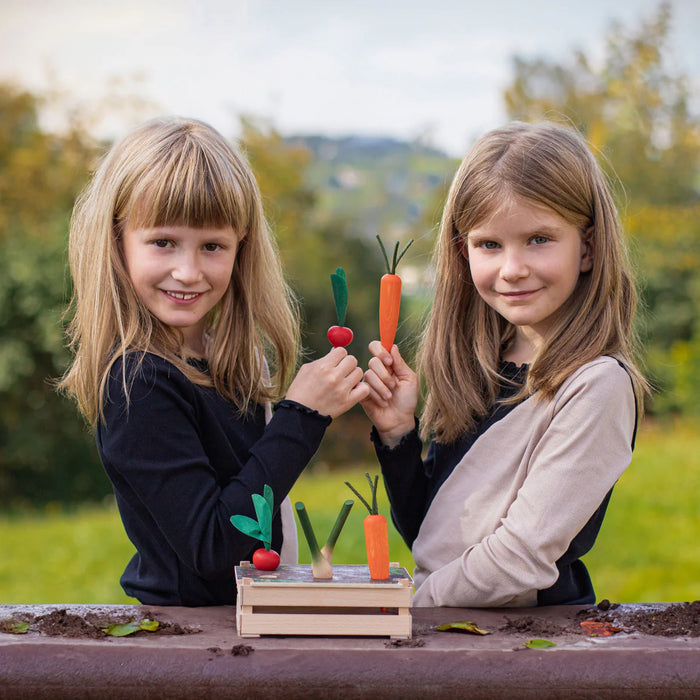 Vegetable Patch Garden - Wooden Play Foods & Garden - Erzi