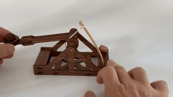 Mini Catapult Siege Engine Engineering Kit -  Build a Working Leonardo da Vinci Catapult