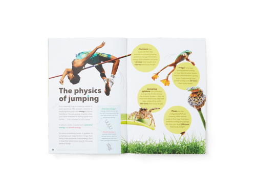 Jumping Robot STEM Kit -  Build Your Own Jumping Robot Engineering Project