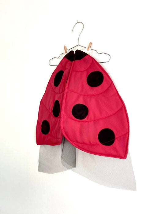 Ladybug Costume  - Dress Up - Canvas Ladybug Wing Costume