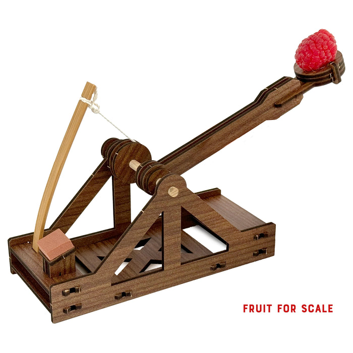 Mini Catapult Siege Engine Engineering Kit -  Build a Working Leonardo da Vinci Catapult