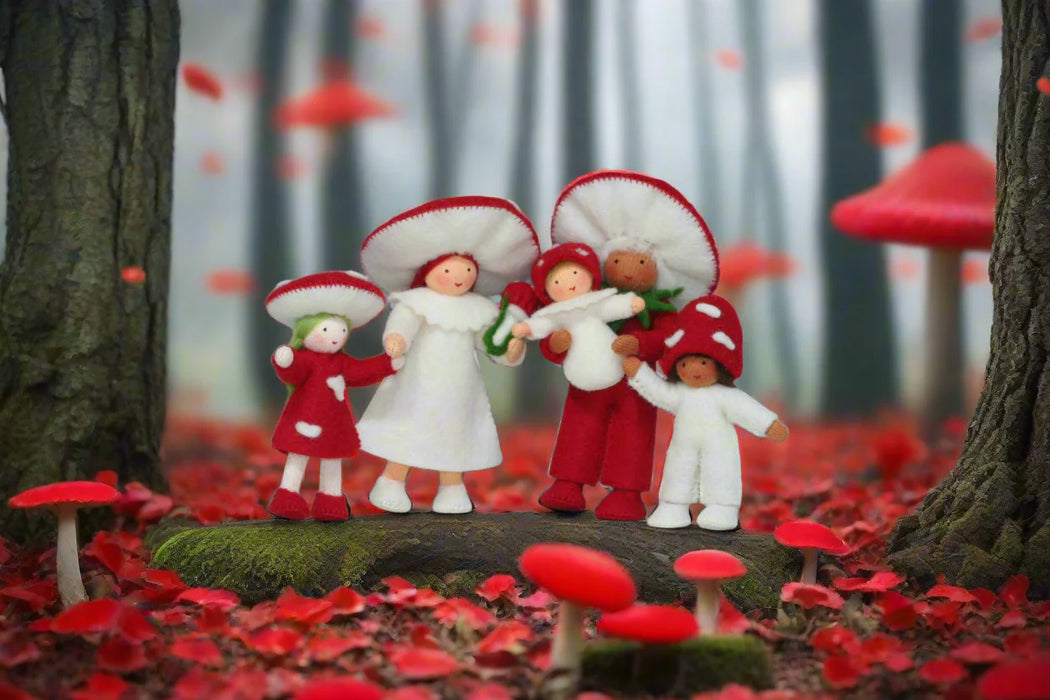 Mushroom Family 2024 - Flower Fairies - Waldorf Doll - Ambrosius Dolls