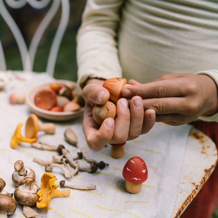 Mushroom Grove -  Play Set - Grapat