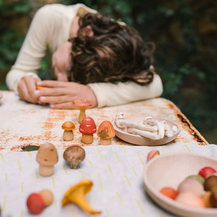 Mushroom Grove -  Play Set - Grapat