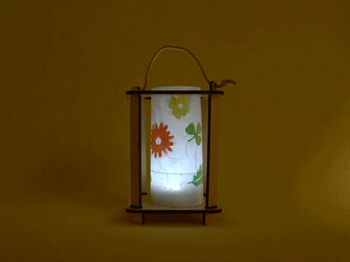 Nature Walk Lantern - Build Your Own Lantern STEM Kit