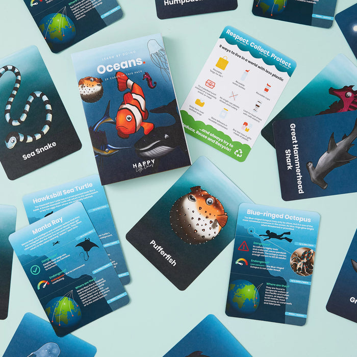 Ocean Activity Flashcards