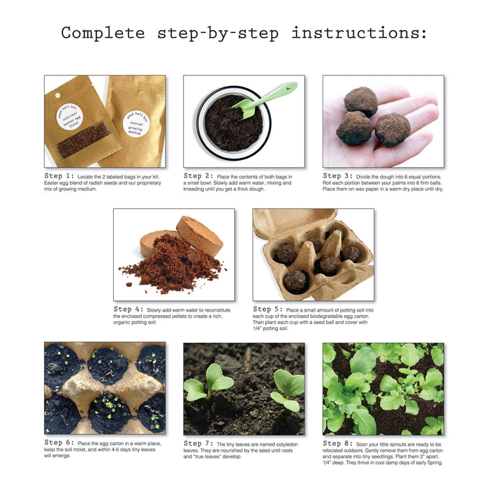 Radish Seed Ball Kit for Kids – DIY Gardening Activity & Nature Craft