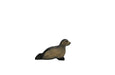 Sea Lion small - Hand Painted Wooden Animal - HolzWald