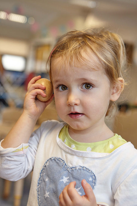 Sensory Sound Matching Eggs - Montessori Auditory Memory Game