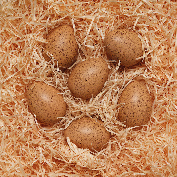 Sensory Sound Matching Eggs - Montessori Auditory Memory Game