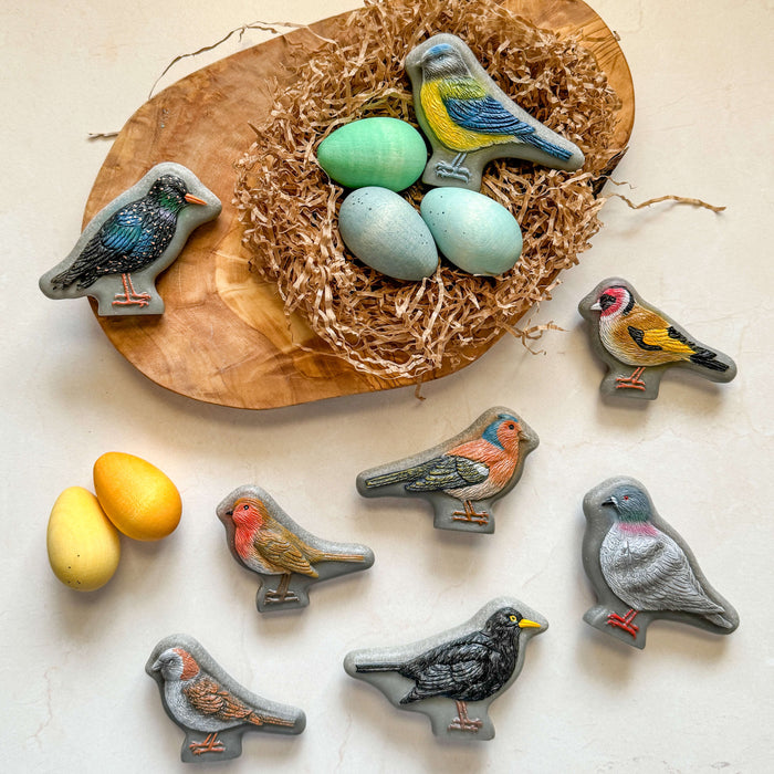 Stone Play Birds – Bird Sensory Play Stones