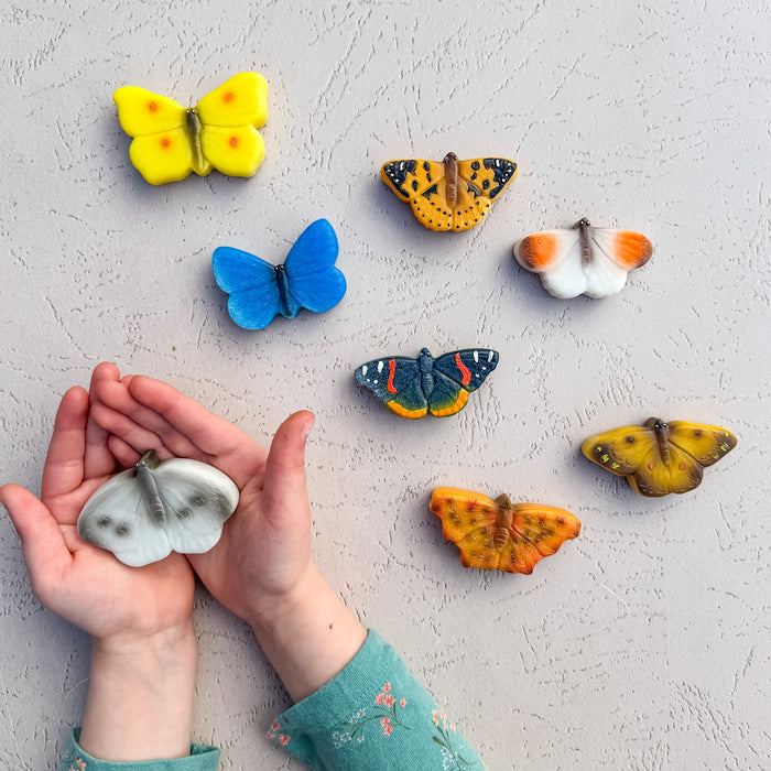 Stone Play Butterflies – Butterflies Sensory Play Stones