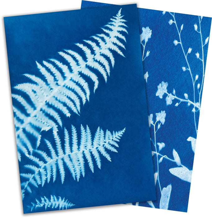 Sunprint Kit - Sun Printing Craft Kit - Cyanotype Paper Nature  - Sun Snap Photo Paper - Medium Size