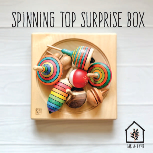 Monthly Spinning Top Surprise Box  - Spinning Top Subscription Box