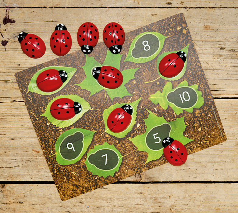 Ladybug Counting Stones - Math Counting Stones