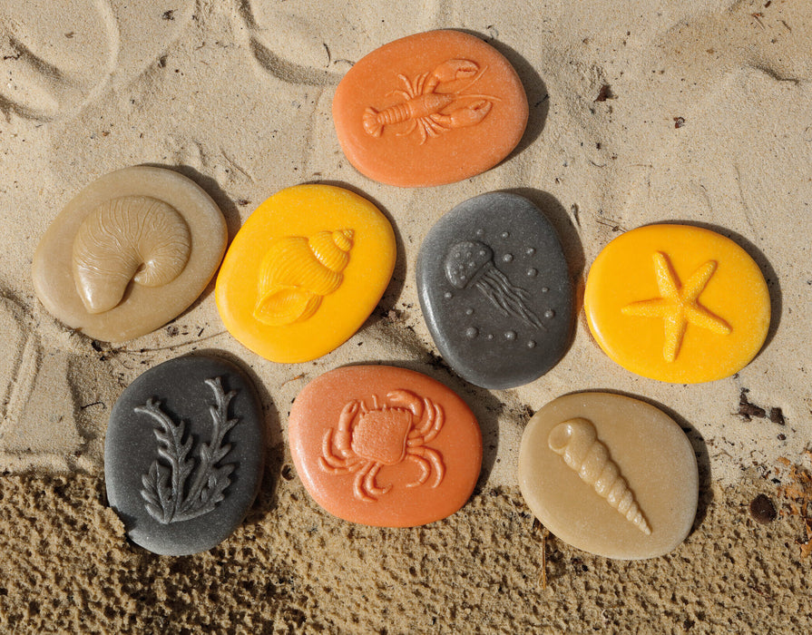 Seashore - Outdoor or Indoor Stamping and rubbing stones