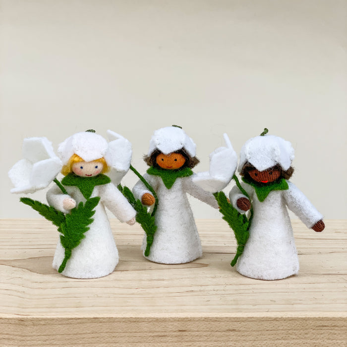 Winter Fairy - Christmas Rose Prince - Holding a Flower  - Ambrosius Flower Fairies