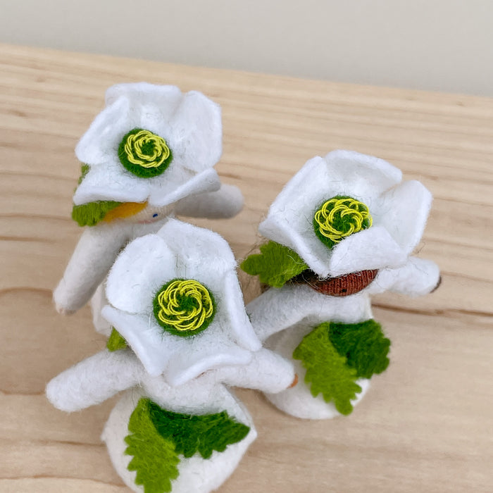 Winter Fairy - Christmas White Rose - Flower Hat Fairy - Ambrosius Flower Fairies