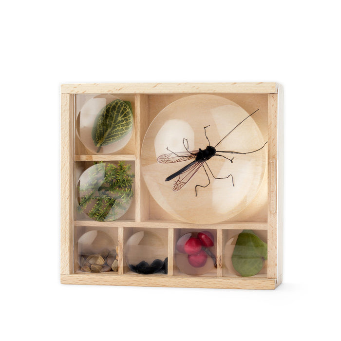 A Closer Look Bug and Flower Box – Mini Collection Box