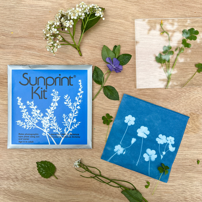 Sunprint Kit - Sun Printing Craft Kit - Cyanotype Paper Nature  - Small
