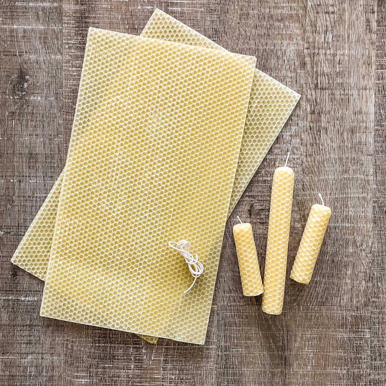 For Little Creatives