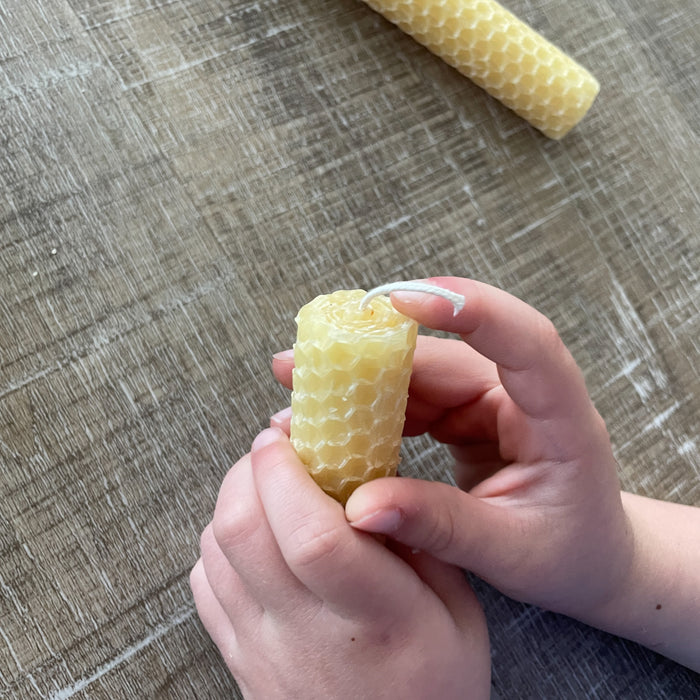 How to Make Rolled Beeswax Candles - Carolina Honeybees