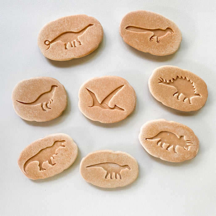 Dinosaurs Footprint Pebbles - Outdoor or Indoor Stamping and rubbing stones